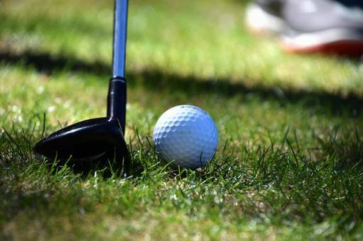 하이브리드추천 및 구매가이드