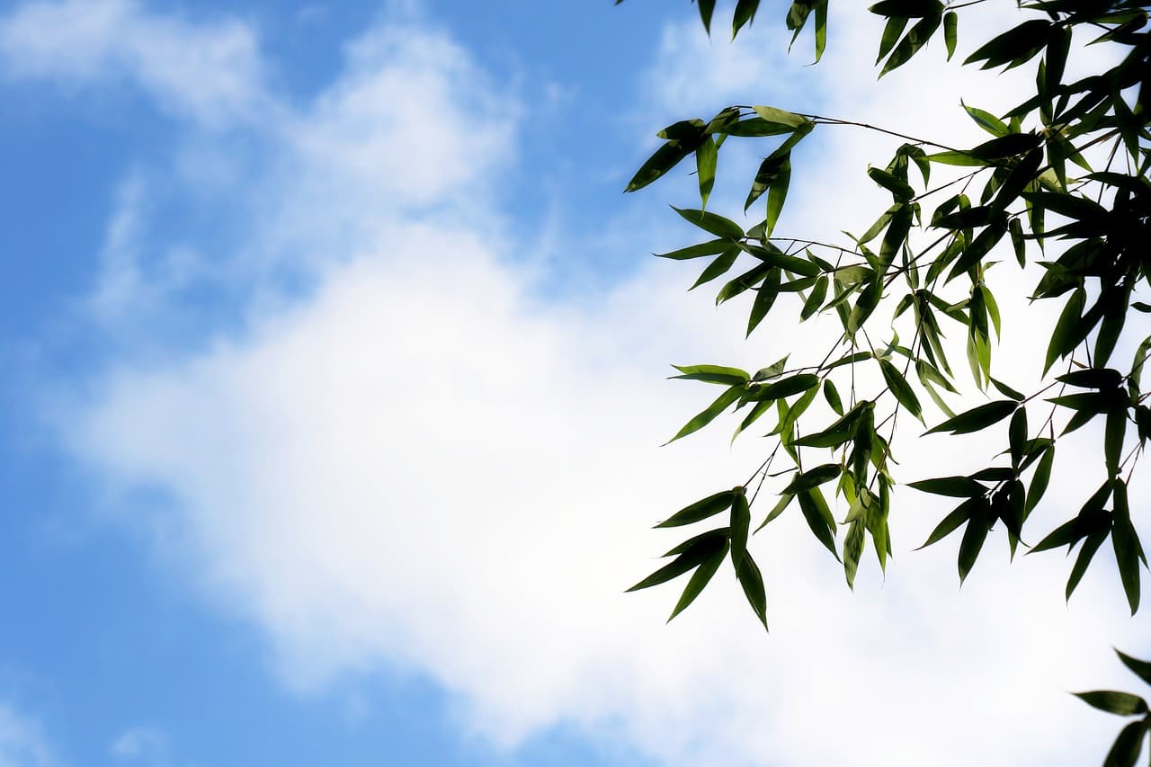 미래 교육에서 감성 지능(EQ)이 중요한 이유와 육아법