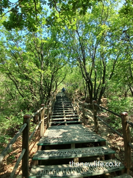 Person climbing steep stairs in forest – ideal example of low-impact stair climbing exercise-숲속 가파른 계단을 오르는 사람 – 무릎 부담이 적은 계단 오르기 운동 예시