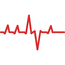 심박수 정상 수치