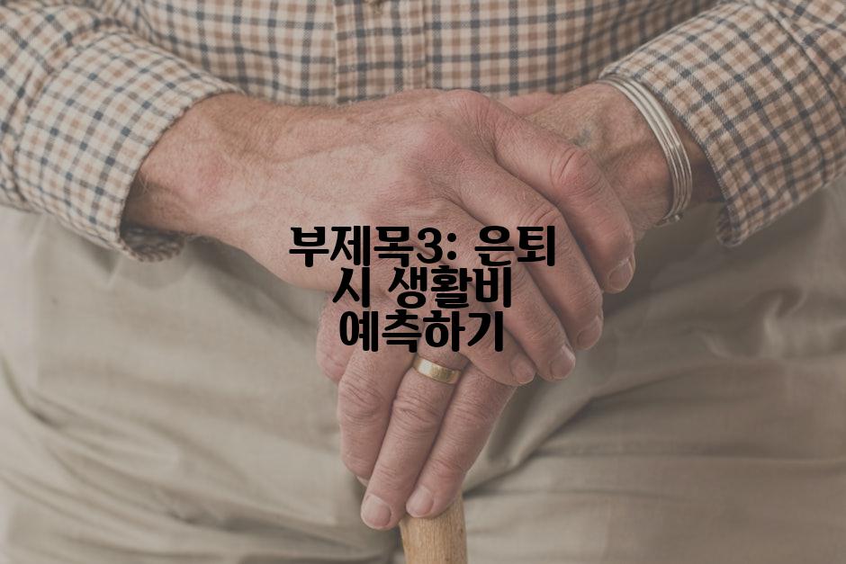 부제목3: 은퇴 시 생활비 예측하기