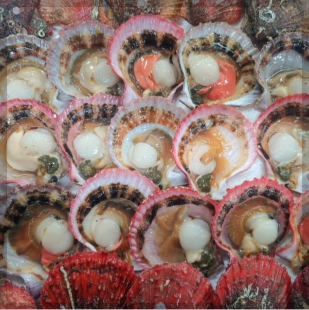 12월 제철 해산물