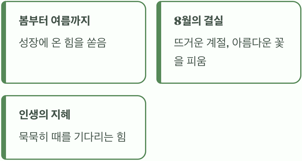 기다림을 아는 지혜