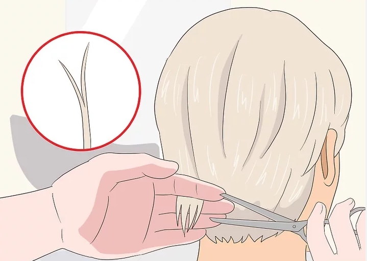 최대한 손상된 부분을 자른다