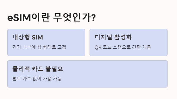 eSIM이란?