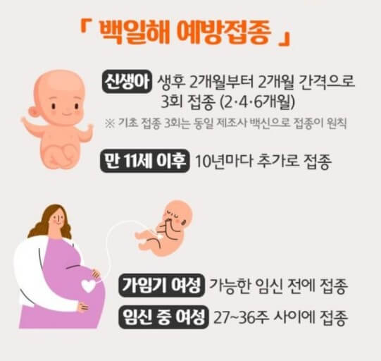 예방 접종