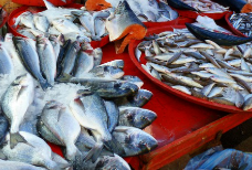 온누리상품권 환급행사! 수산물 구매하면 최대 2만원 환급!