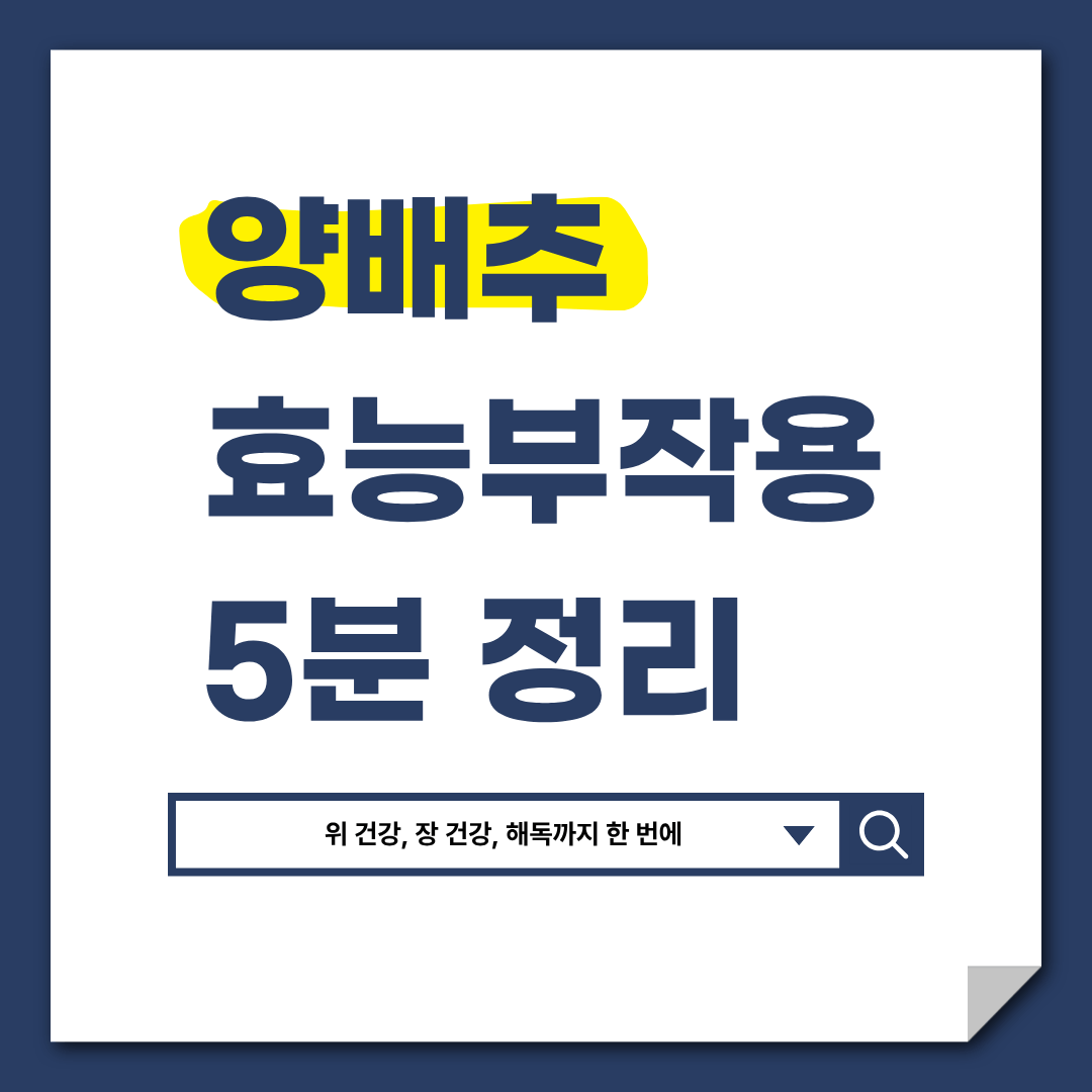 양배추 효능 총정리, 위 건강, 다이어트, 독소 배출까지 한 번에 잡는 슈퍼푸드