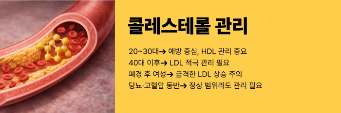 콜레스테롤 정상수치