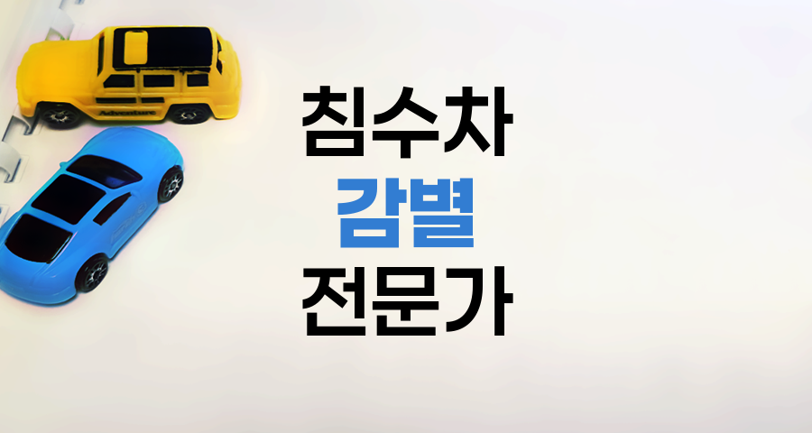 침수차 감별 전문가 되기