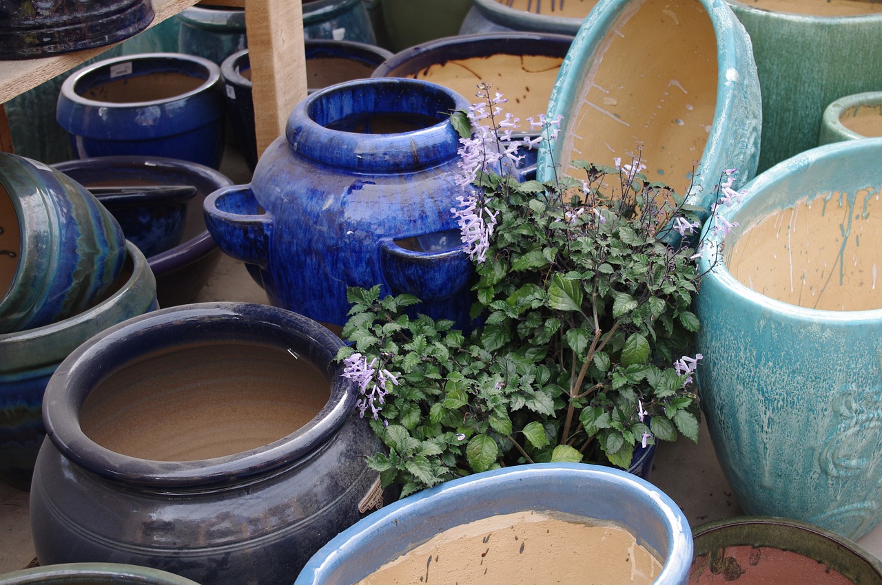 세라믹 화분 사진. 출처: Pixabay