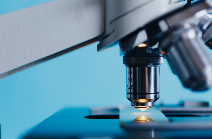 효소생화학: 생명 활동의 촉진자