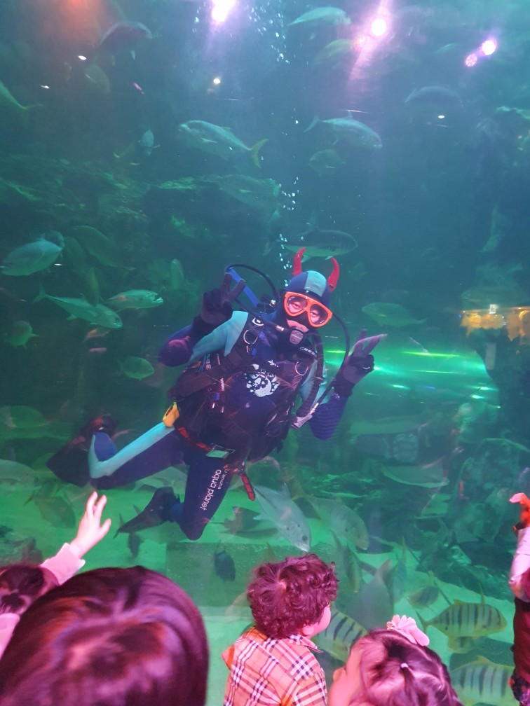 일산아쿠아플라넷