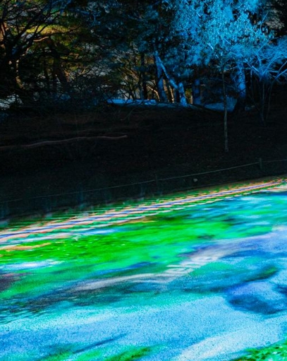 서울야경명소 창경궁 물빛연화