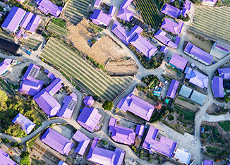 신안 퍼플섬 풍경사진 