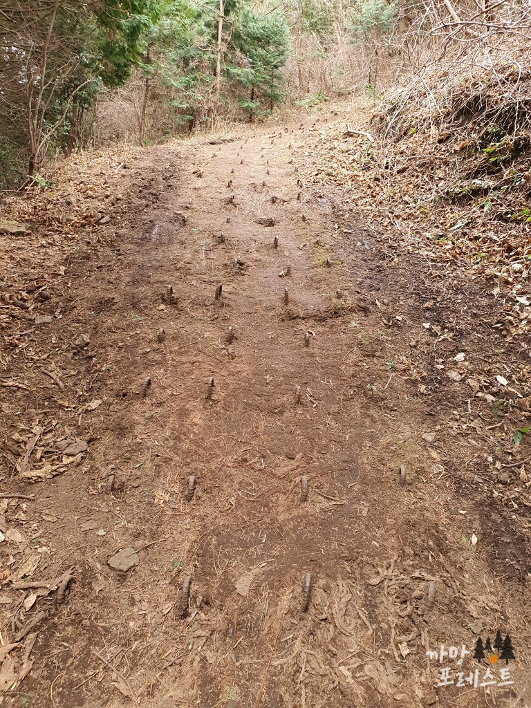 높은 오름 탐방로