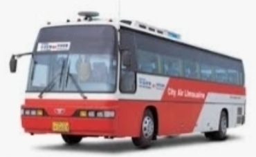 양산 3100번 버스