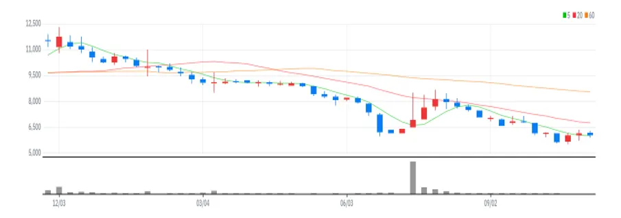 에프앤가이드 주봉