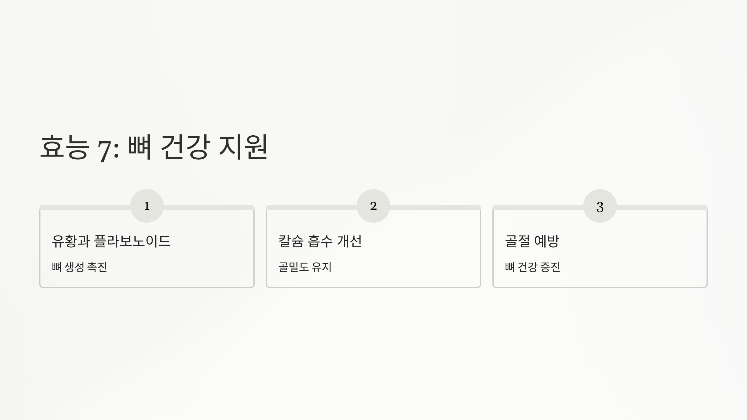 양파 사진입니다.