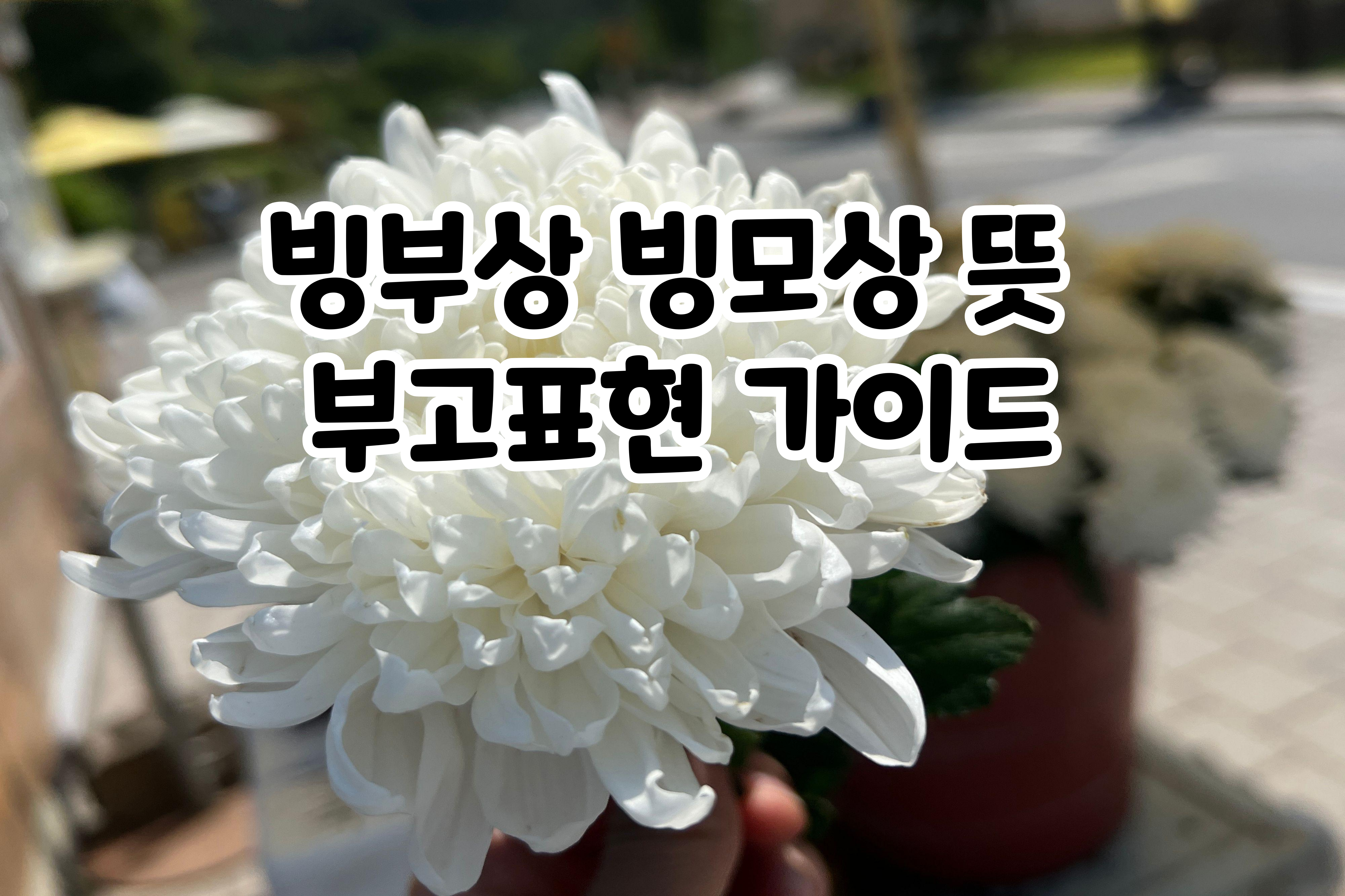 빙부상- 빙모상- 뜻