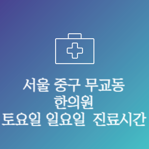 서울 중구 무교동 주말 토요일 일요일 문여는 병원 진료시간