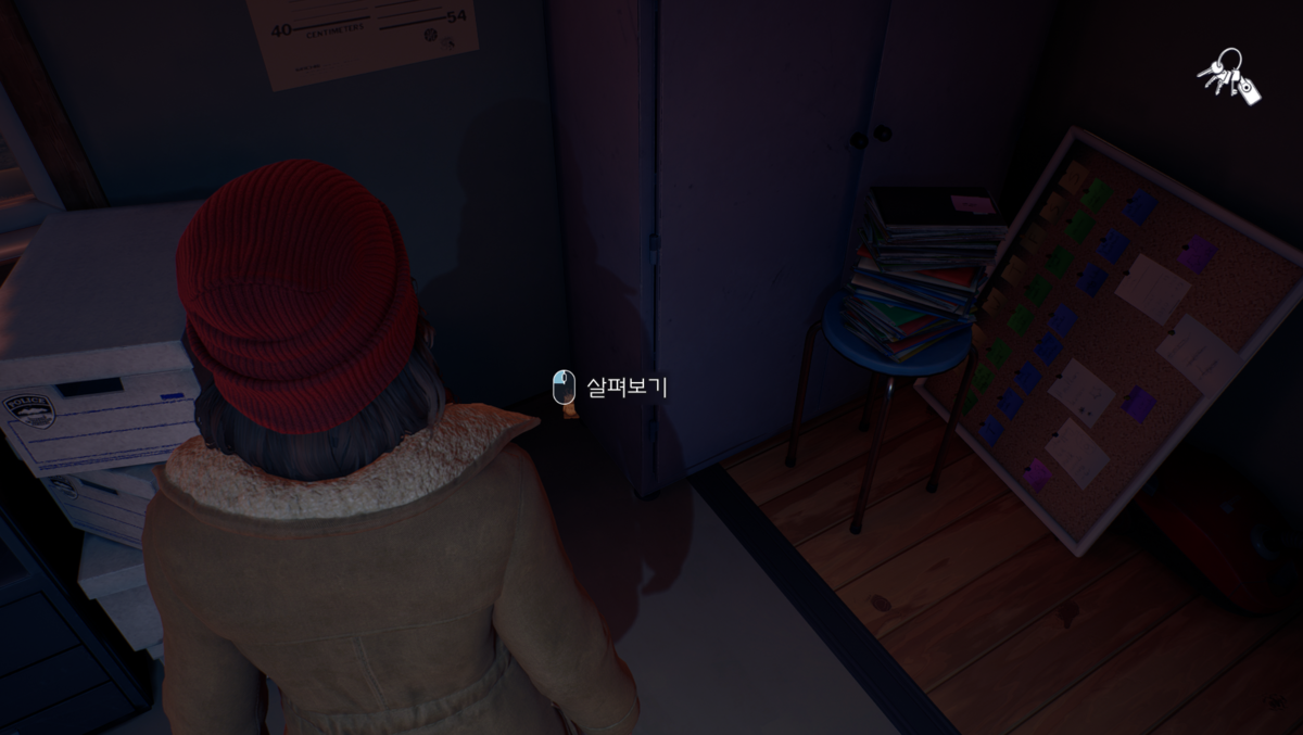 얼음 왕