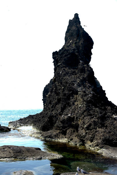 울릉도 독도 지도 한눈에 보기 위치&middot;이동방법&middot;거리까지 총정리