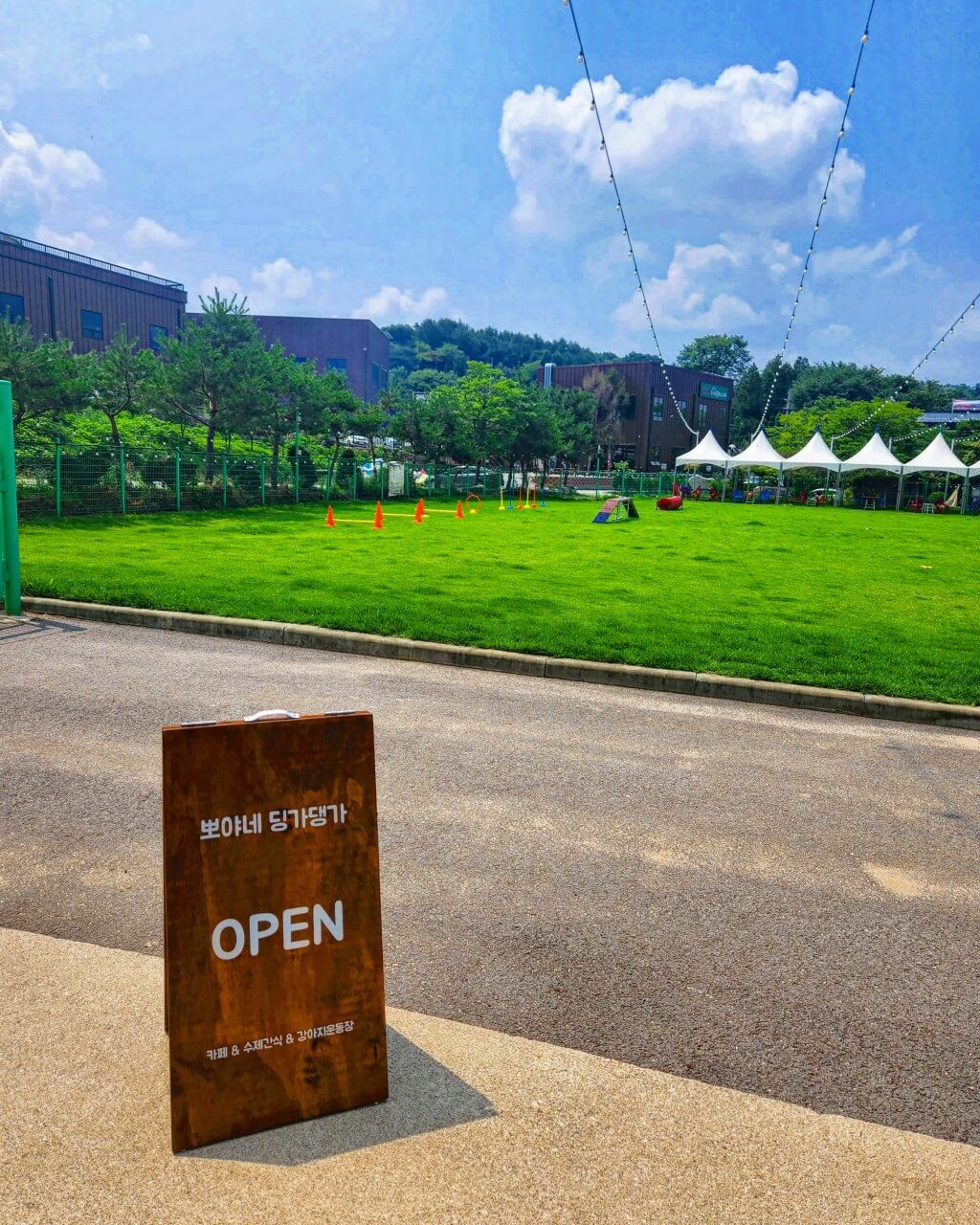 생방송투데이 오늘도 달린다! 청년 사장 경기 포천 20대 애견 카페 사장 편 뽀야네 딩가댕가 생방송투데이 3779회