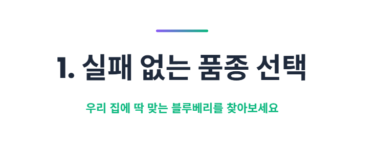블루베리 키우기