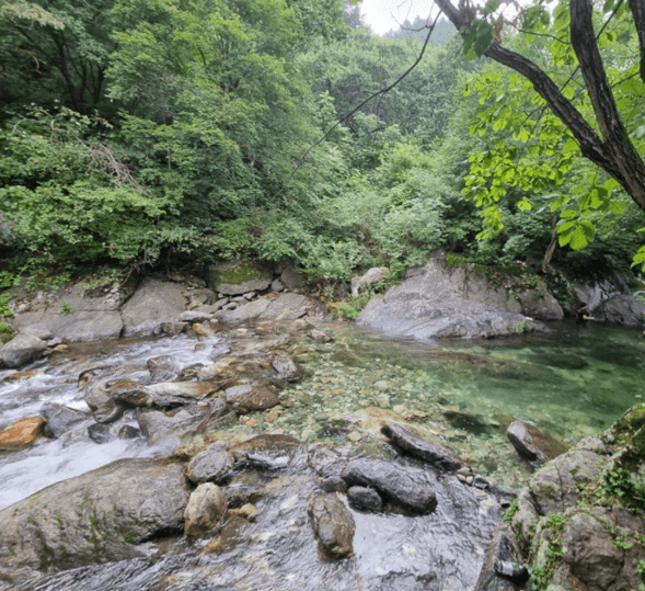 화악산계곡