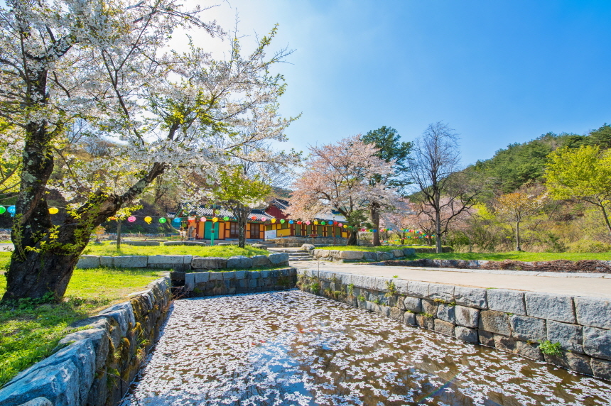 고성8경 추천 코스, 제7경 건봉사9