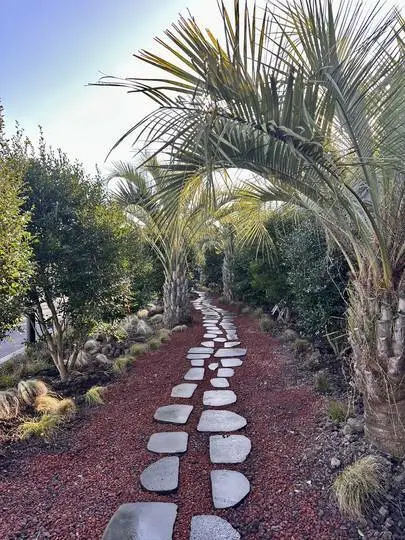 한림읍 스타벅스 신규 매장 제주 금악 DT점 오픈 위치 운영 시간 주차 요금 야외 좌석 스벅 드라이브스루