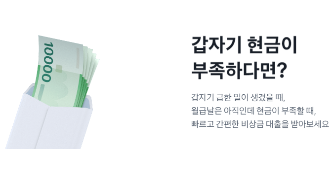 소액대출 300만원