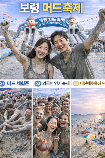 보령 머드축제 관련 사진