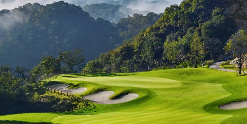 오크밸리cc 골프 코스 참나무숲 풍경