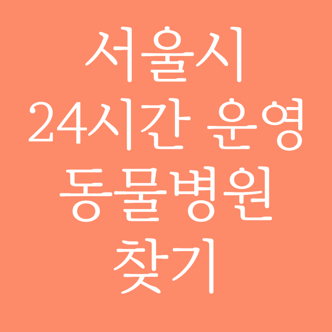 서울시 24시간 운영 동물병원 찾기