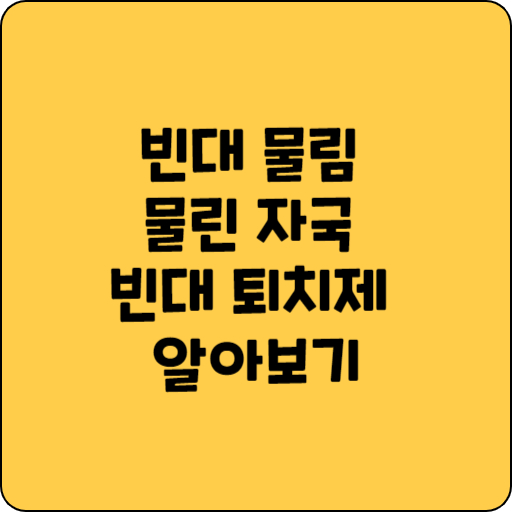 빈대 물림