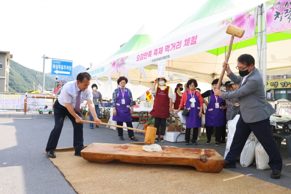 제 40회 단양 소백산 철쭉제 기본정보와 프로그램 정리 정수라 임창근 김완선 출연 