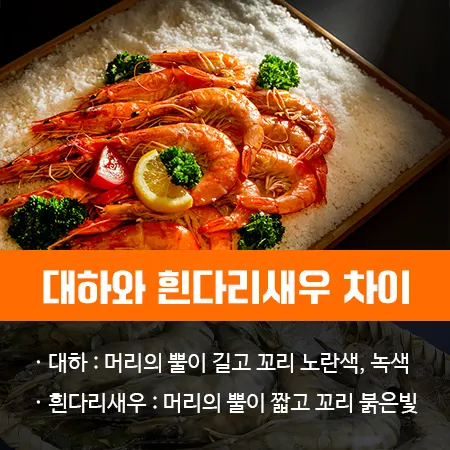 대하 가격