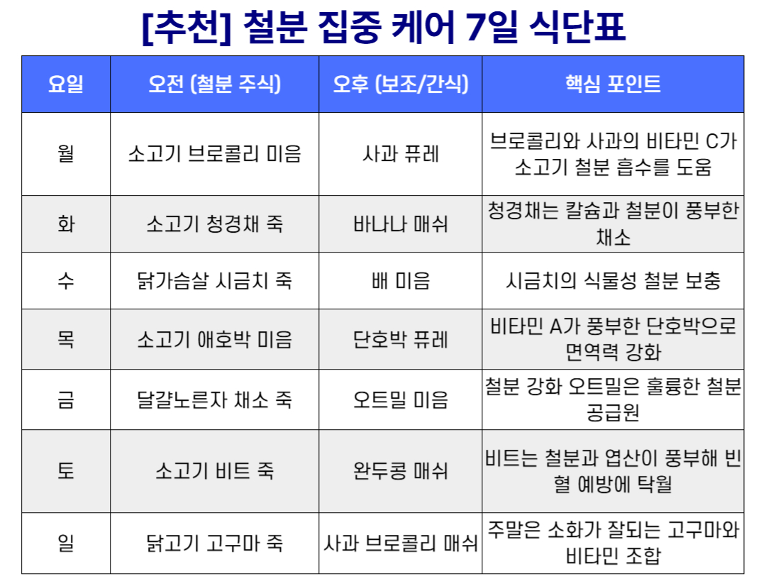 이유식 철분 식단 가이드