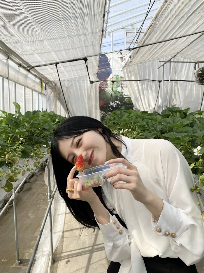 하우스에서 딸기를 들고 있는 요시이 미유
