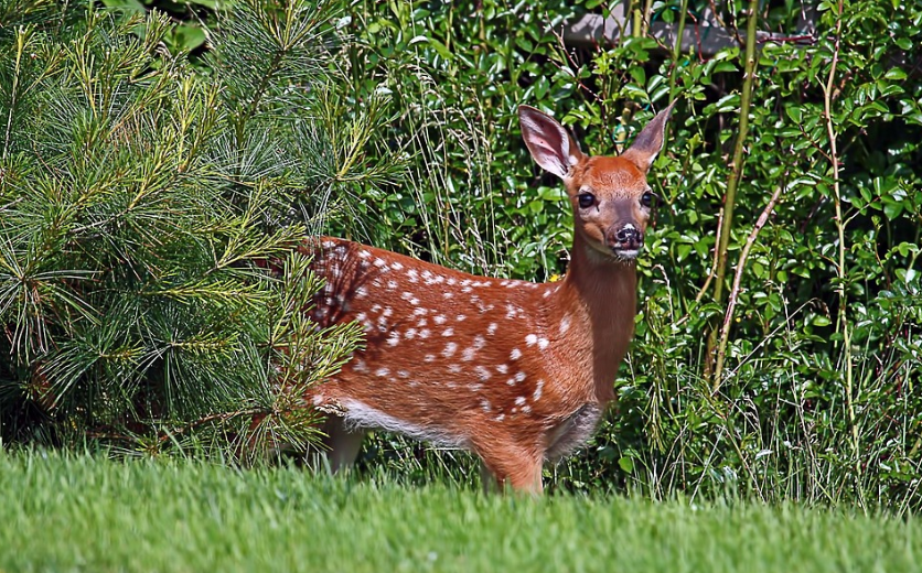 모르는 사람이 말을 걸면 불안한 이유: 낯선 사람 회피 심리