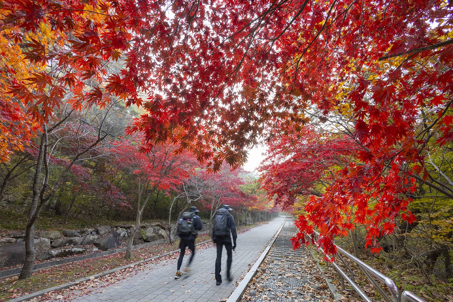 제3경 대둔산 수락계곡
