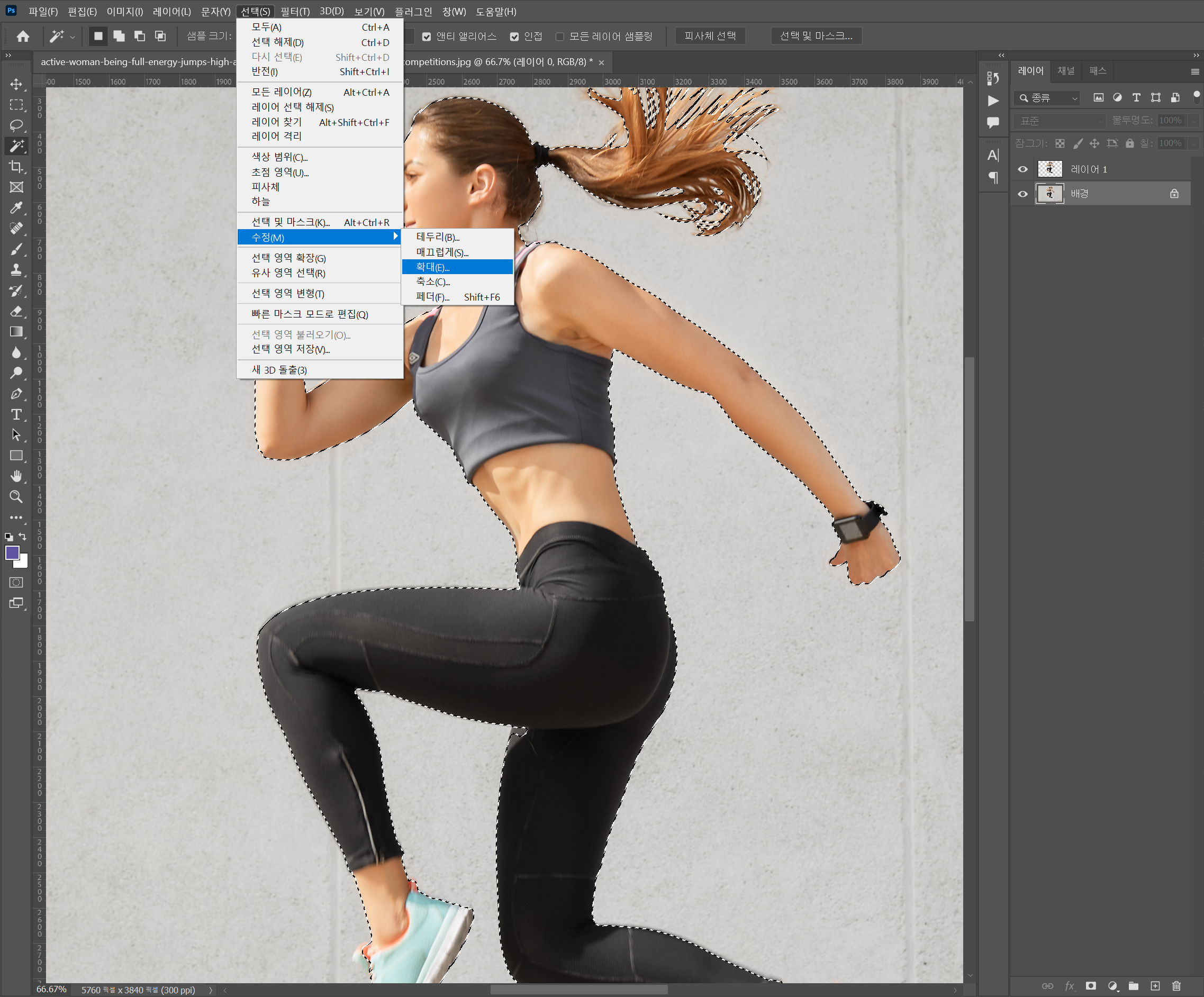 선택 영역 확장 시키기