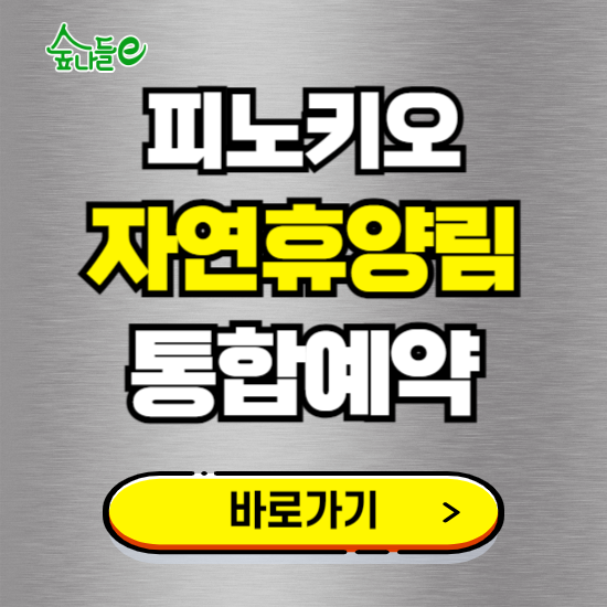 피노키오 자연휴양림 온라인 예약하기 ❘ 숙소 야영장 캠핑장 실시간 예약 현황 보기 ❘ 강원 원주시