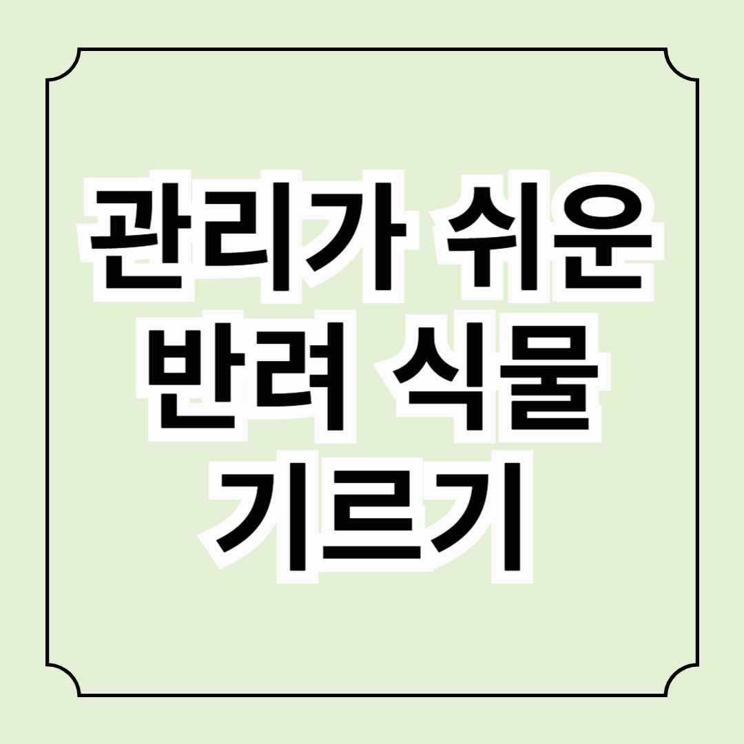 관리가 쉬운 반려 식물 기르기