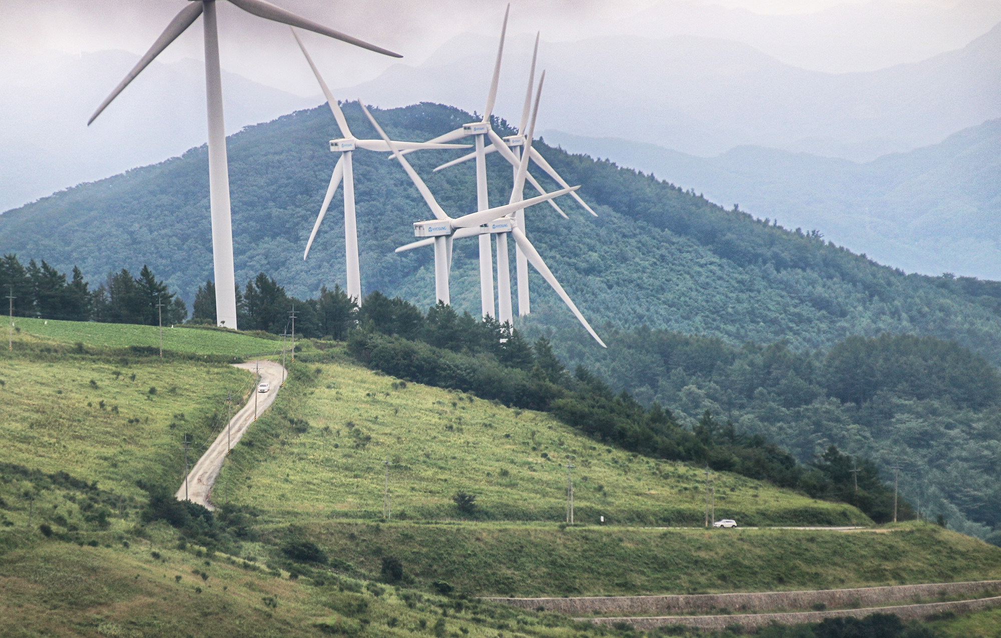 평창 가볼만한곳