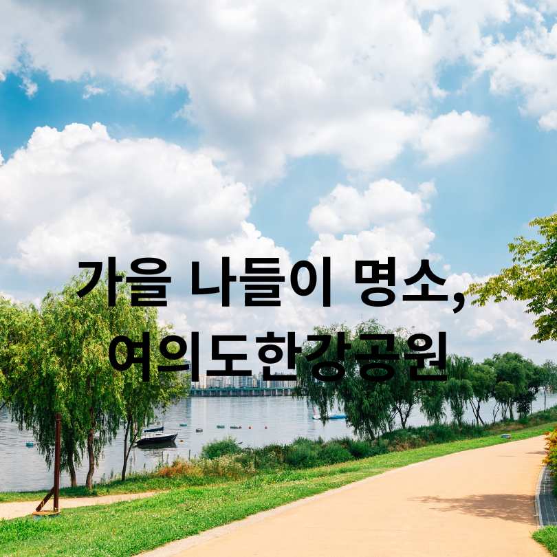 2025 한강 종이비행기 축제