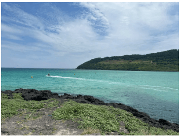 디지털 관광주민증 발급