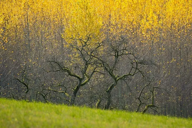 가을 시 모음 5편 추천 선별_8